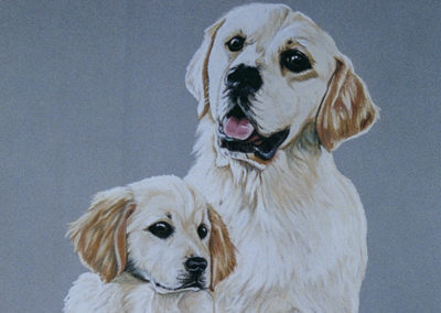 Mother and Son – Retrievers