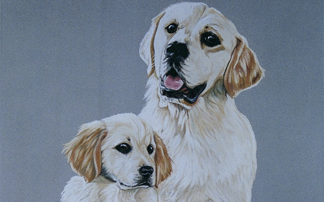 Mother and Son – Retrievers